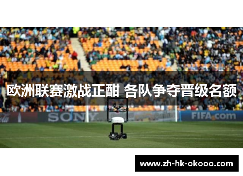 欧洲联赛激战正酣 各队争夺晋级名额 欧洲联赛激战正酣 各队争夺晋级名额