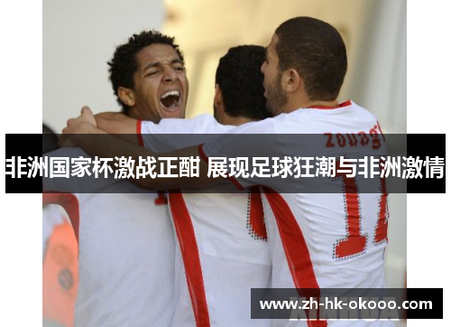 非洲国家杯激战正酣 展现足球狂潮与非洲激情 非洲国家杯激战正酣 展现足球狂潮与非洲激情
